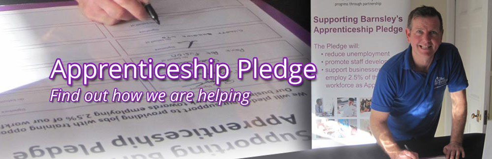Apprenticeship Pledge